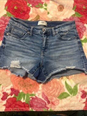 BKE Women's Distressed Denim Shorts